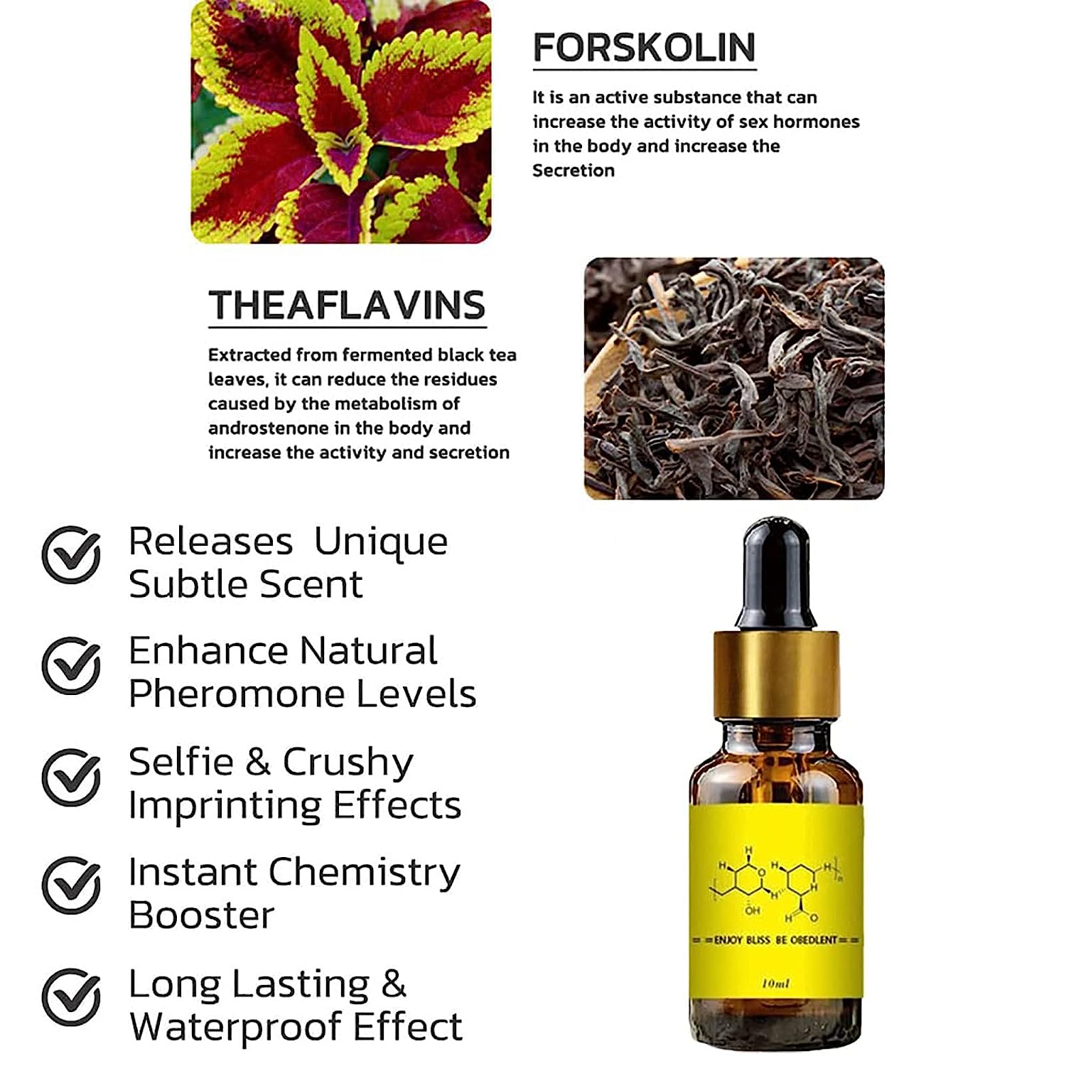Pheromone For Man Attract Wome - Fragrance Oil 10Ml ulasan dan harga