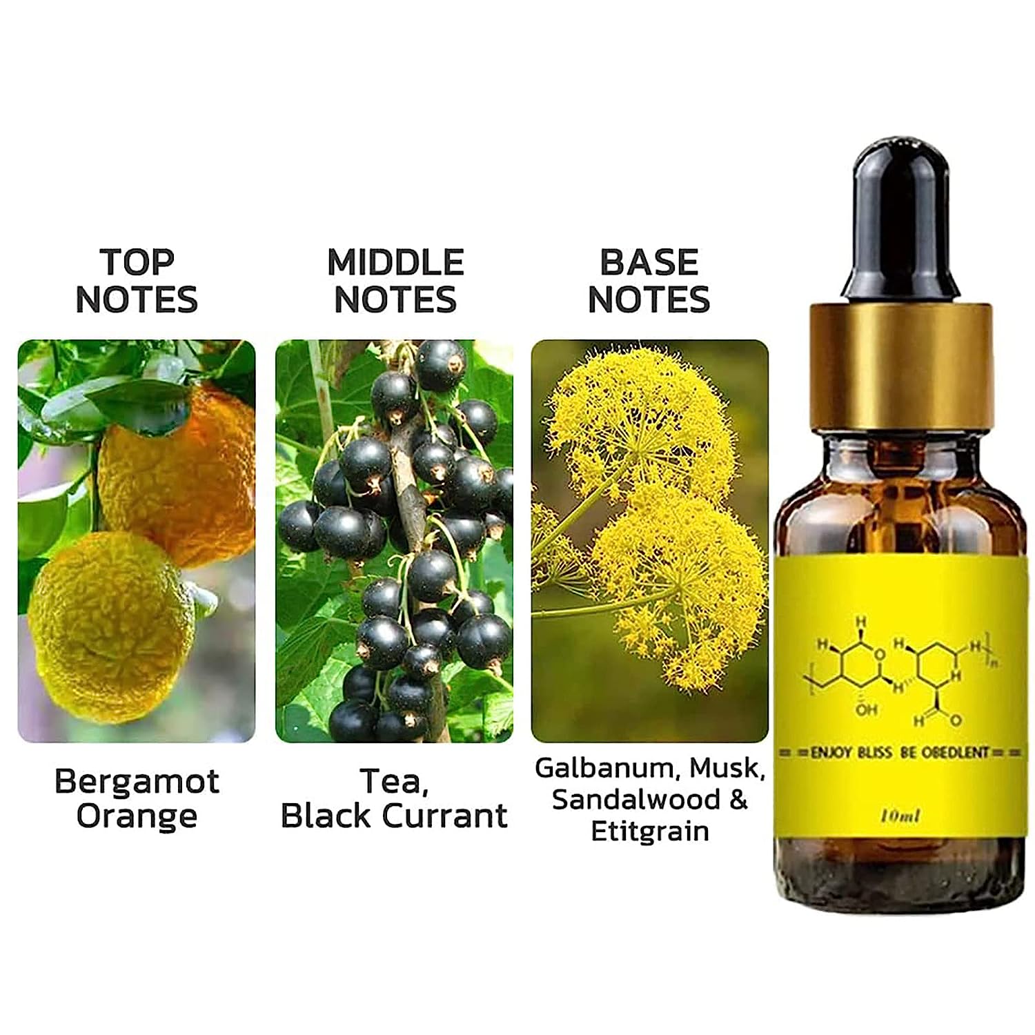 Pheromone For Man Attract Wome - Fragrance Oil 10Ml ulasan dan harga